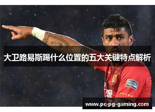 大卫路易斯踢什么位置的五大关键特点解析