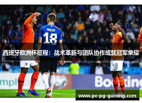 西班牙欧洲杯征程：战术革新与团队协作成就冠军荣耀
